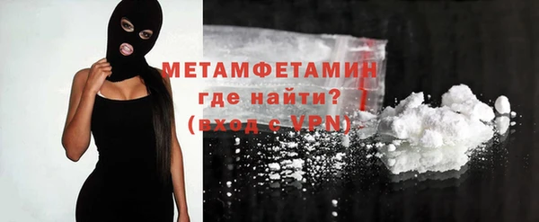 индика Горнозаводск